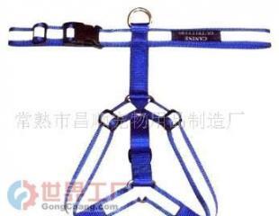 反光宠物带与宠物安全带 宠物出行安全的最佳搭档