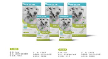 宠物用品行业新宠 iBone迅速蹿红的秘诀